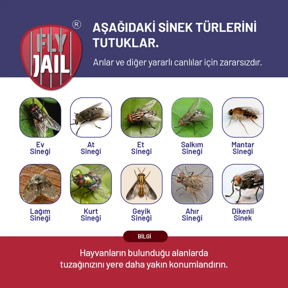 2 Adet Fly Jail - M Karasinek Tuzağı - Resim 5
