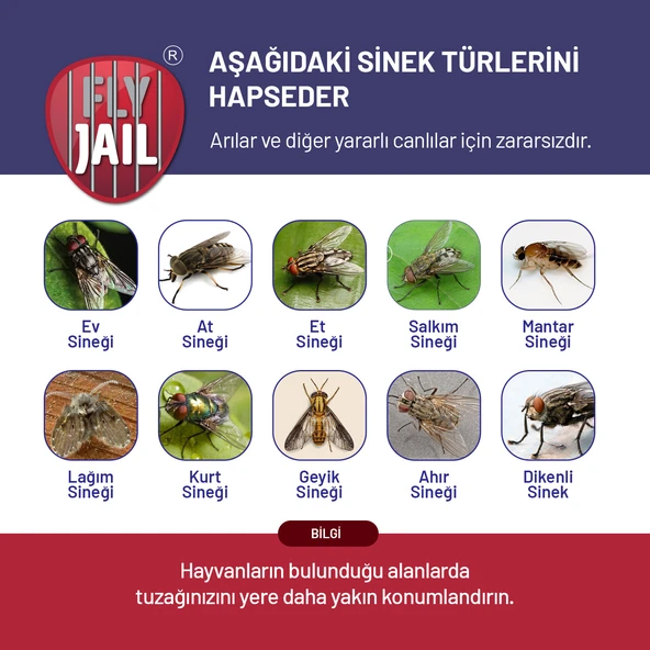 Fly Jail - L Karasinek Tuzağı - Resim 5