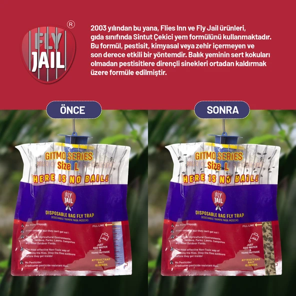 3 ADET Fly Jail - L KARASİNEK TUZAĞI - Resim 4