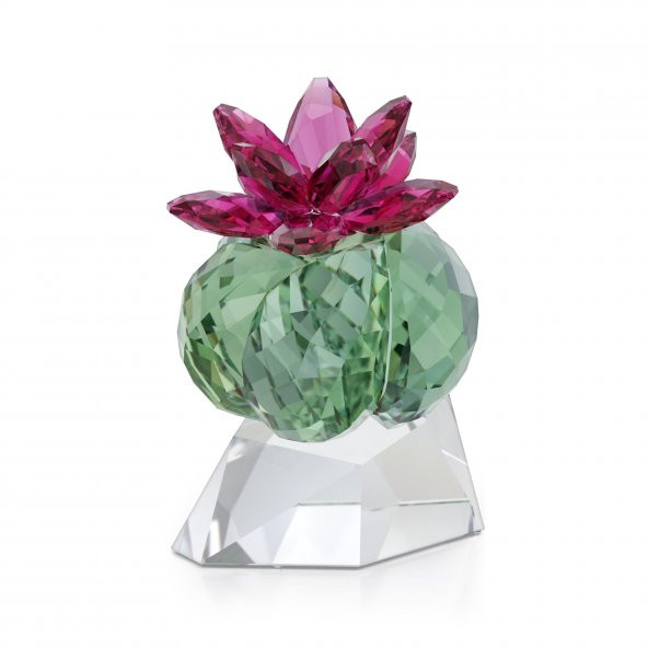 5426978 Swarovski Ev Dekorasyonu Crystal Flowers:Bordeaux Cactus ürün görseli 1