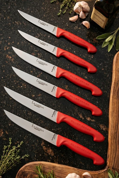 Lazbisa Silver Serisi Mutfak Bıçak Seti Et Ekmek Sebze Meyve Bıçağı 6 Lı Set Günlük Kullanım ( Mtf-216) ürün görseli 1