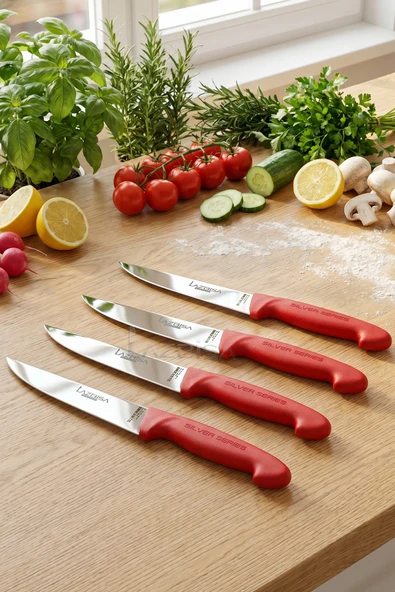 Lazbisa Silver Serisi Mutfak Bıçak Seti Et Ekmek Sebze Meyve Bıçağı 4 Lü Set Günlük Kullanım ( Mtf-2011) ürün görseli 1