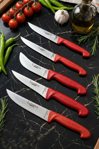Lazbisa Silver Serisi Mutfak Bıçak Seti Et Ekmek Sebze Meyve Bıçağı 5 Li Set Günlük Kullanım ( Mtf-016) ürün görseli 1