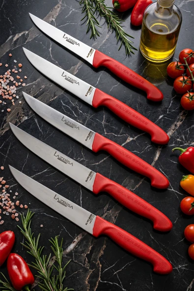 Lazbisa Silver Serisi Mutfak Bıçak Seti Et Ekmek Sebze Meyve Bıçağı 5 Li Set Günlük Kullanım ( Mtf-015 ) ürün görseli 1