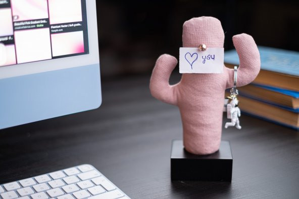 Kayigo Siyah Woody Pembe Cactus Üçlü Set ürün görseli 1