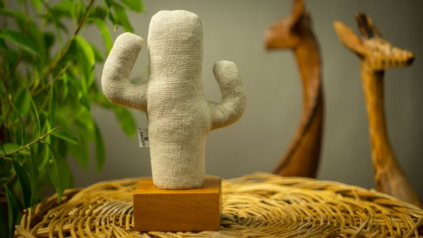 Kayigo Cactus Lavanta Dolgulu Notluk - Resim 4