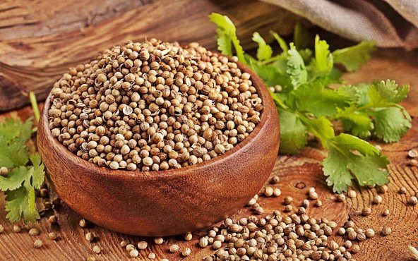 Dökme Baharat Kişniş Tane 250 gr ürün görseli 1