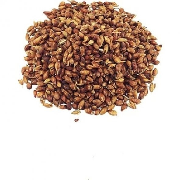 Dökme Bitkiler Süpürge Tohumu - 100 Gr ürün görseli 1