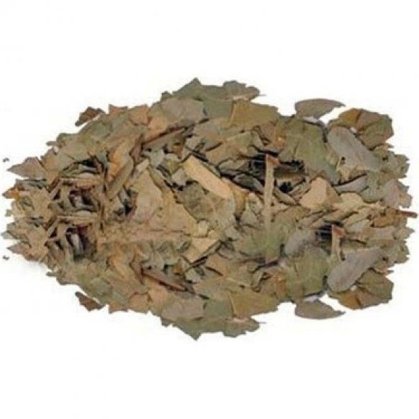 Dökme Bitkiler Avokado Yaprağı - 100 Gr ürün görseli 1
