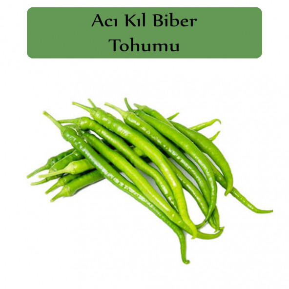 Acı Kıl Biber Tohumu 1 Paket Acı Biber Tohumu ürün görseli 1