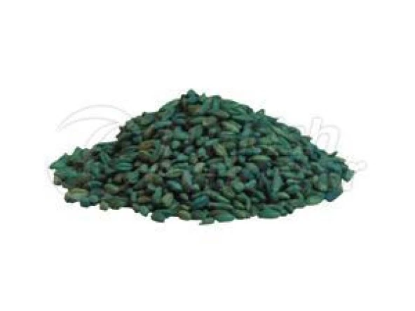 Fare Kulağı Tohumu -Dichondra Repens-250 gr - Resim 2
