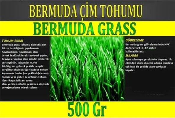 Bermuda Çimi (Ayrı Otu)Tohumu 500 gr ürün görseli 1
