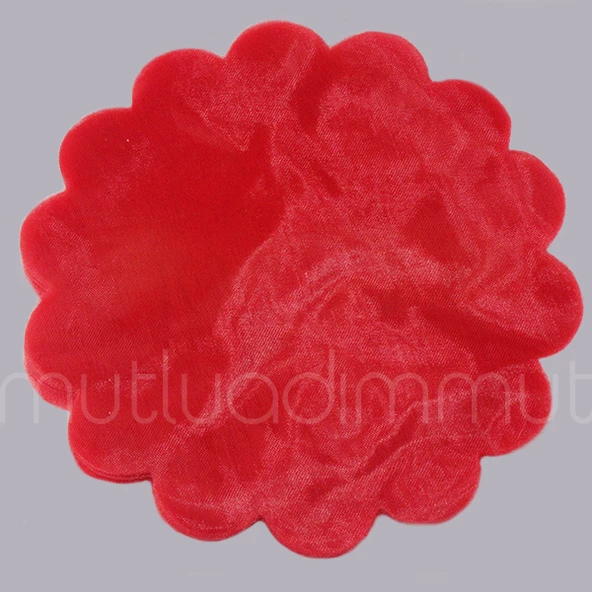 100 Adet Düz Organze Tül 22cm - Resim 3