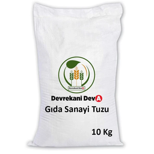 GIDA SANAYİ TUZU İYOTSUZ 10KG ürün görseli 1