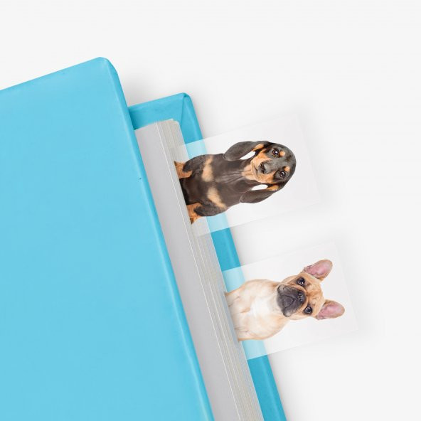 Mustard Dog in a Book ürün görseli 1