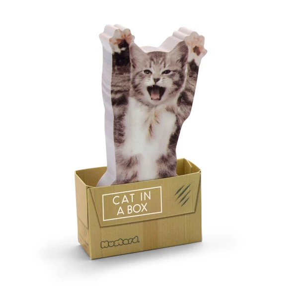 Mustard Cat in a Box - Resim 3