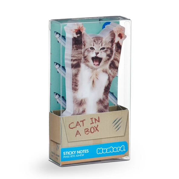 Mustard Cat in a Box - Resim 2