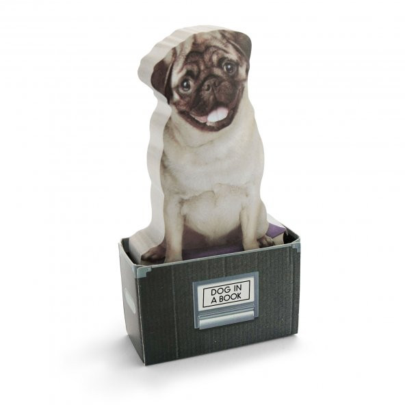 Mustard Dog in a Box - Resim 2