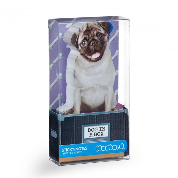 Mustard Dog in a Box - Resim 3