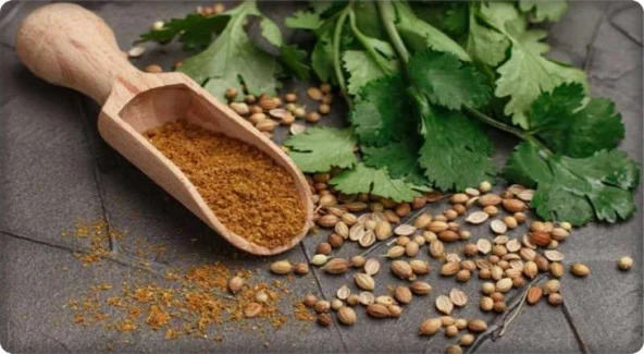 Kişniş Tohumu (Aş Otu) 10 Gram ürün görseli 1
