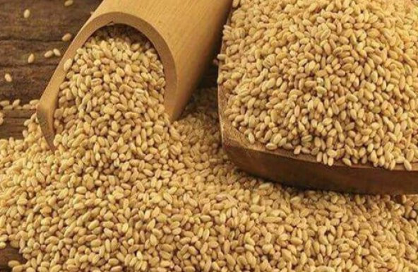 MARAŞ  AŞURELİK YARMA(DÖVME) 1 KG ürün görseli 1