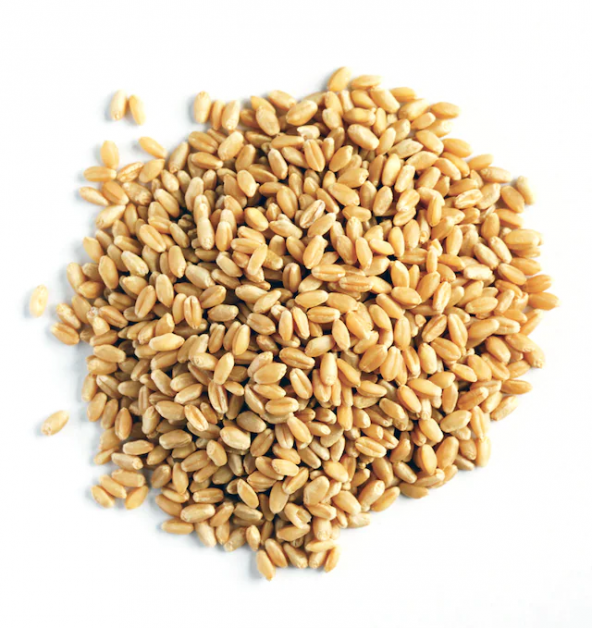 naturalköyürünleri YERLİ BUĞDAY 10 KG ürün görseli 1