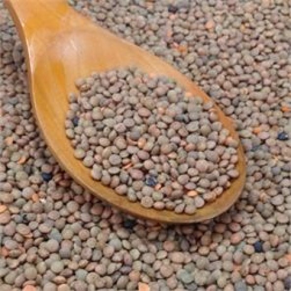 ANTEP KAHVERENGİ MERCİMEK 1 KG ürün görseli 1