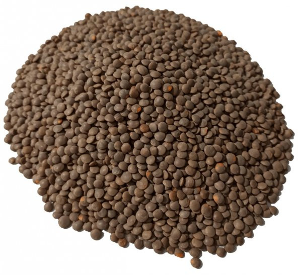 ANTEP KAHVERENGİ MERCİMEK  5 KG ürün görseli 1