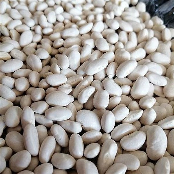 KURU FASULYE DERMASON 1 KG ürün görseli 1