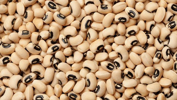 BÖRÜLCE 500 GR ürün görseli 1