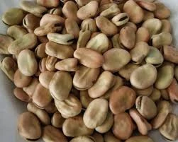 naturalköyürünleri Kuru Bakla25 Kg ürün görseli 1