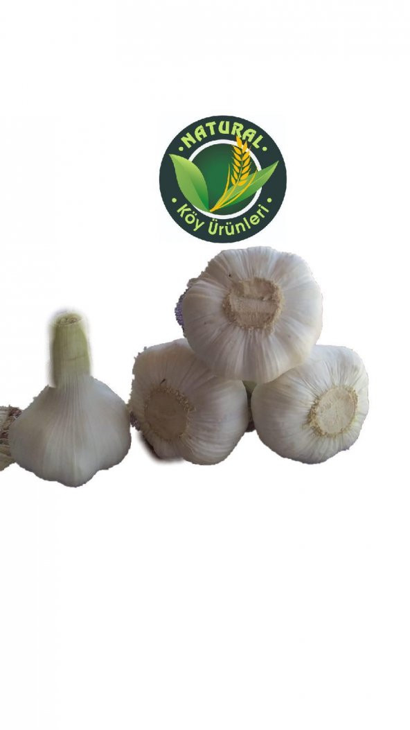 MARAŞ SARIMSAk İRİ BOY 750 GR - Resim 2