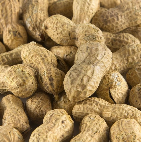 KABUKLU YER FISTIĞI TUZLU 1 KG ürün görseli 1