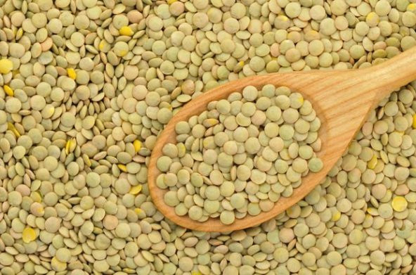 ANTEP YEŞİL MERCİMEK 1 KG ürün görseli 1