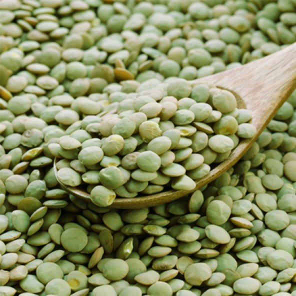 DOĞAL YEŞİL MERCİMEK 5 KG ürün görseli 1