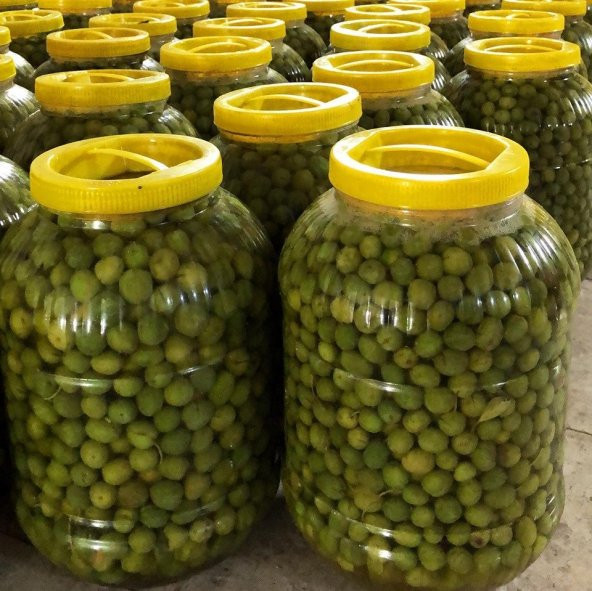 Hatay Hallal Zetytini 3 KG ürün görseli 1