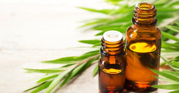 Naturaköy FESMİNA ÇAY AĞACI YAĞI 20 ML ürün görseli 1