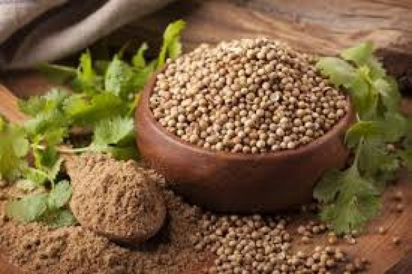 ÇEKİLMİŞ KİŞNİŞ TOZU 500 GR ürün görseli 1