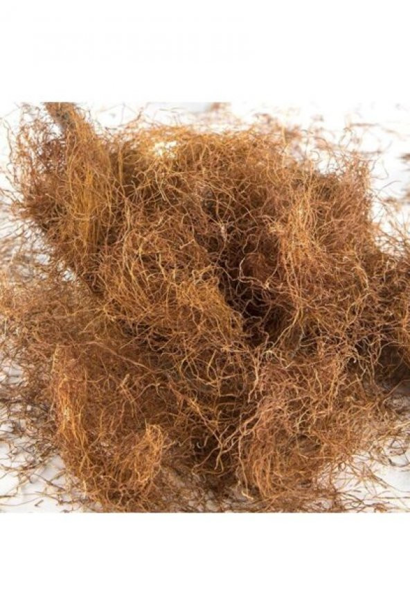 naturalköyürünleri Mısır Püskülü  100 Gr ürün görseli 1