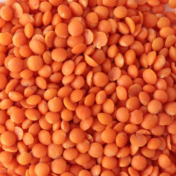 ANTEP YERLİ KIRMIZI MERCİMEK 1 KG ürün görseli 1