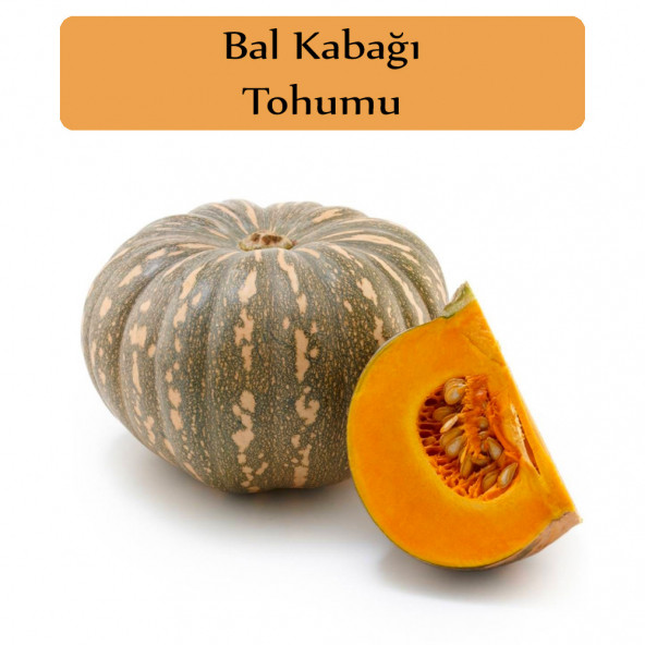Bal Kabağı Tohumu 1 Paket Kabak Tohumu ürün görseli 1