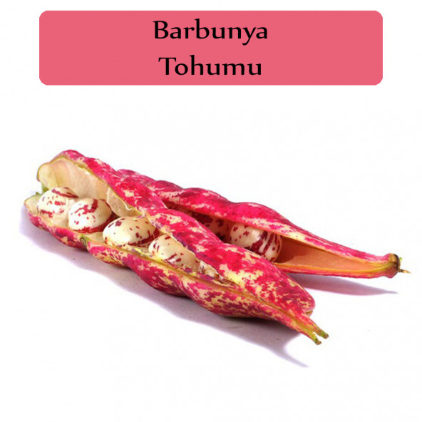 Barbunya Tohumu 1 Paket Barbunya Fasulyesi Tohumu ürün görseli 1