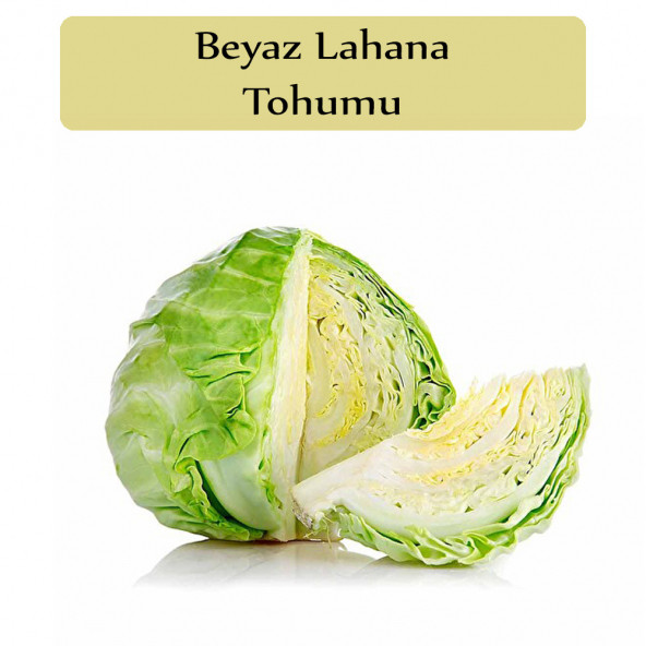 Beyaz Lahana Tohumu 1 Paket Lahana Tohumu Yalova 1 ürün görseli 1
