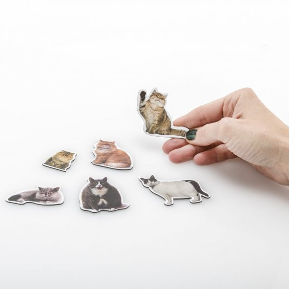 Mustard Cat Magnet - Resim 5