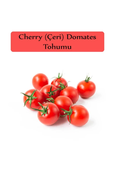 Çeri Domates Tohumu 1 Paket Cherry Domates Salkım Domates Tohumu Kapalı Paket Yüksek Verimli Tohum ürün görseli 1