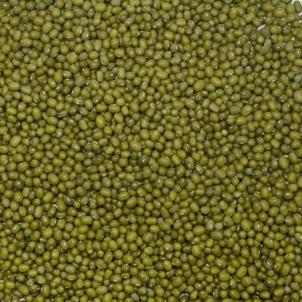 Dökme Bakliyat Maş Fasulyesi - 500 gr ürün görseli 1