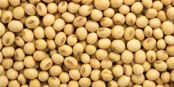 Dökme Bakliyat Soya Fasulyesi - 1 kg ürün görseli 1