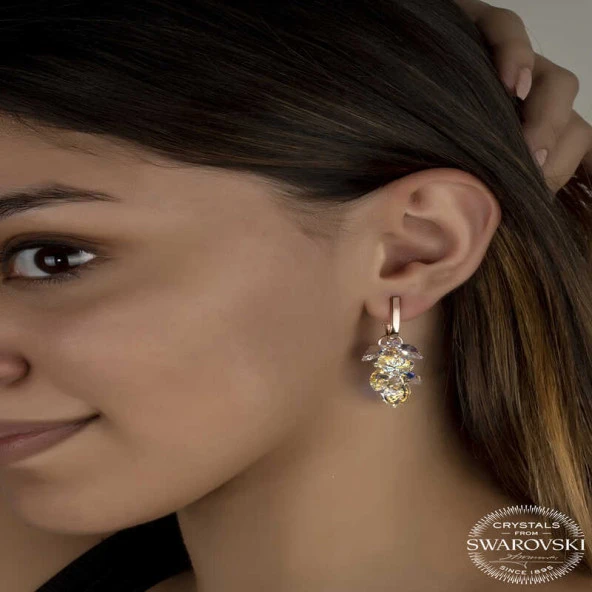 Swarovski Crystal Taşlı Gümüş Kalp Salkım Sallantılı Çivili Kadın Küpe ürün görseli 1
