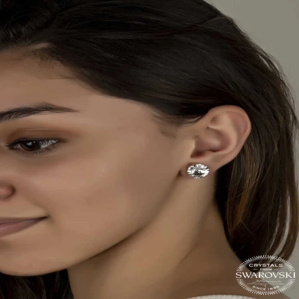Swarovski Crystal Taşlı Gümüş  Çivili Kadın Küpe ürün görseli 1