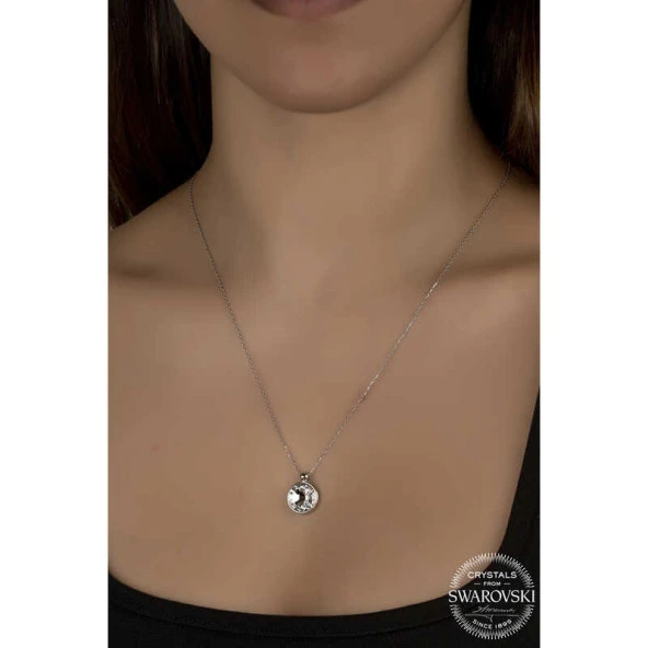 Swarovski Crystal Taşlı Çerçeveli Gümüş Kadın Kolye ürün görseli 1
